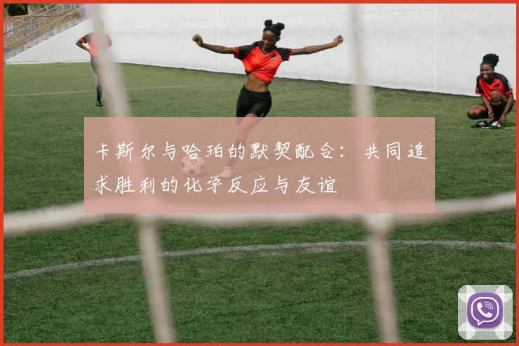 卡斯尔与哈珀的默契配合：共同追求胜利的化学反应与友谊