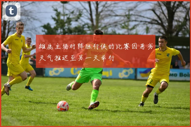 雄鹿主场对阵独行侠的比赛因恶劣天气推迟至另一天举行