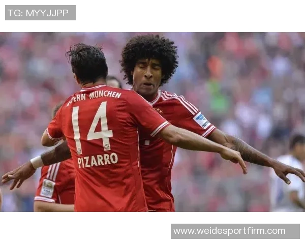 拜仁慕尼黑德甲13轮狂揽37分创历史进球纪录展现统治力